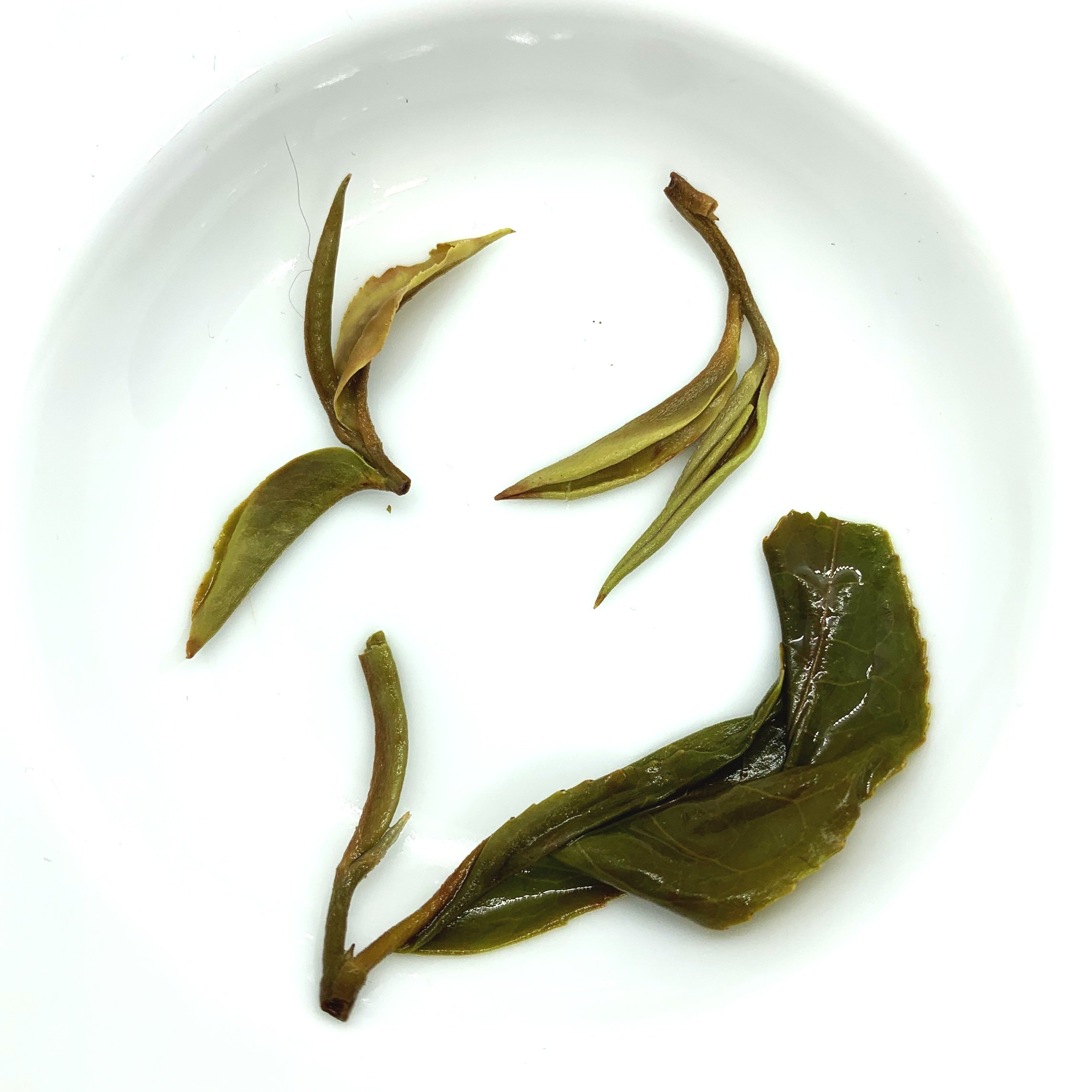 White Lightning Darjeeling Bai Mu Dan white tea — Trident